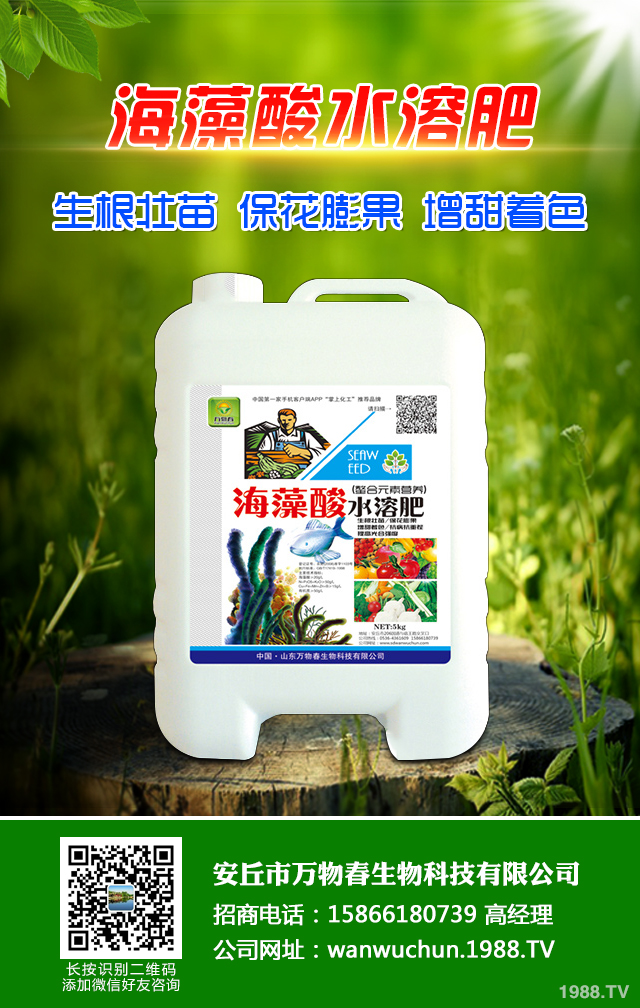 �ﲥС����ô����|(zh��)�����ﲥС������|(zh��)����Ҫ�c