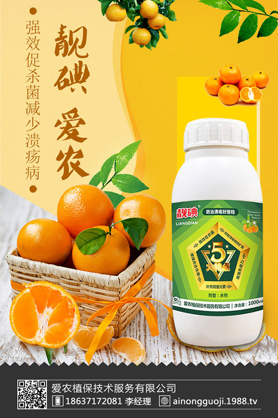 ���m����ηNֲ�����m���Nֲ�r�g��������