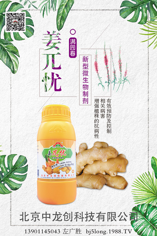 ����ʩ�ʵķ�������Щ�����ʩ�ʲ��ܸ߮a(ch��n)������ʩ�ʼ�����