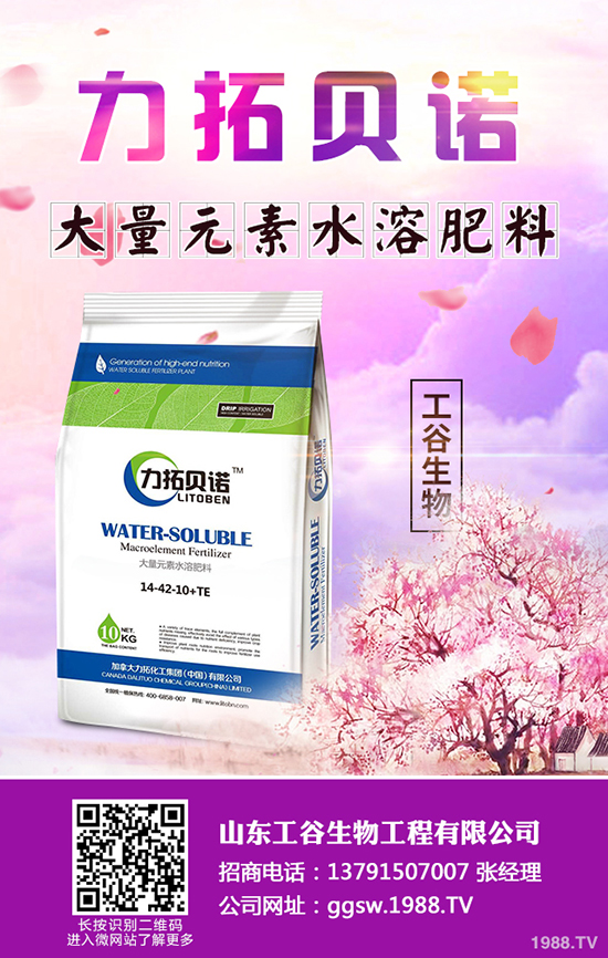 �ﶬ��С�Ͳ���ηNֲ���ﶬ��С�Ͳ˷Nֲ���g(sh��)�����g����������