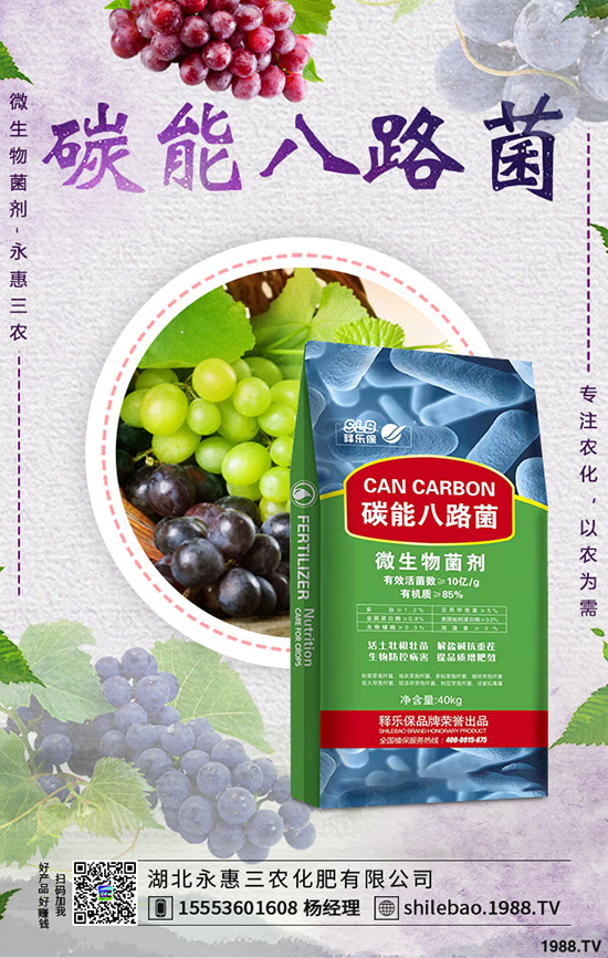     2019-9-7����⛷ʃr(ji��)�������(d��ng)�B(t��i)�u(p��ng)���������Xһ����