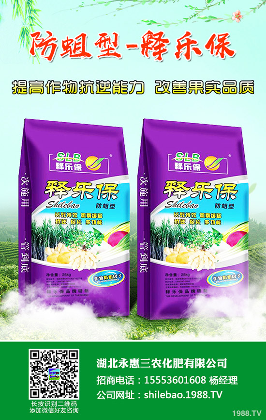     ��������(f��)�σr���Ո�����(f��)����I(y��)���S�����rһ�[2019��9��4��