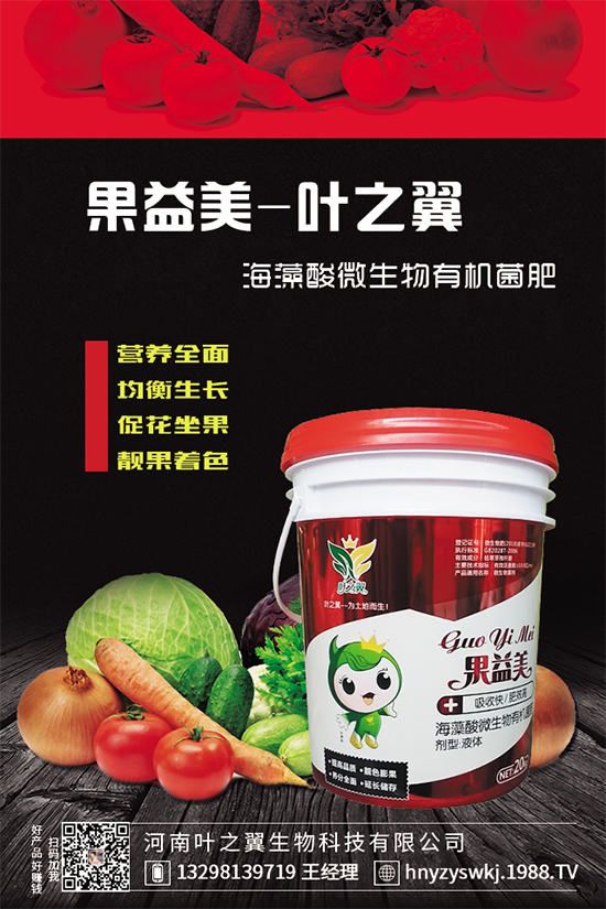 芒果樹環(huán)割的好處，給芒果樹環(huán)割需要注意什么？