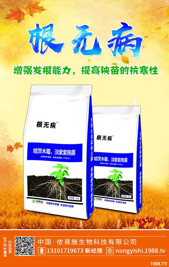     ��ˡ����[�����[�Nֲٍ�X�᣿��Ҋ�{(di��o)ζ���߲˷Nֲ����(r��n)������