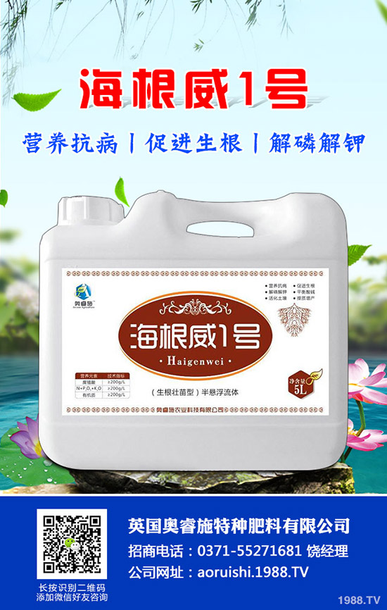 �����^����Щ��̎�����^�ĠI(y��ng)�B(y��ng)�r(ji��)ֵ��ʳ�ý�����