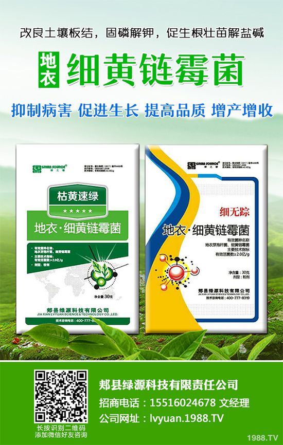 ���·Nʲô�߲˱��^����2019��9���߲˷Nֲָ��