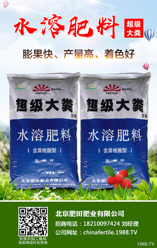 ��ݮ���˼t������������ô�k����ݮ�t�����������R�e�����ͷ�����