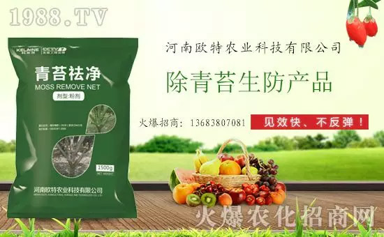 �������̦���������������Ƀ�����̦�oۙ��