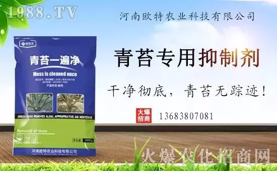 �������̦���������������Ƀ�����̦�oۙ��