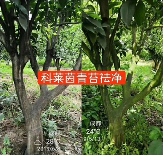 �������̦���������������Ƀ�����̦�oۙ��