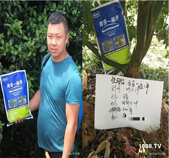 �������̦���������������Ƀ�����̦�oۙ��