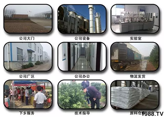 �������̦���������������Ƀ�����̦�oۙ��