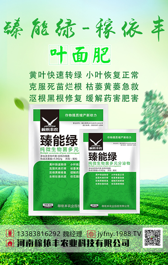 �n�Sʩ���з������n�S�Ĵ�ƌW(xu��)ʩ�ʼ��g(sh��)��