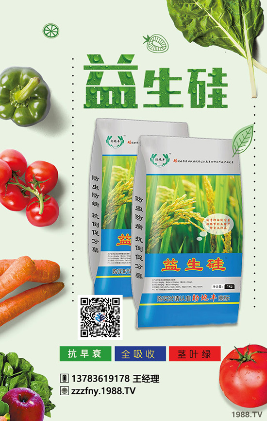 �J����ʩ��������(w��n)�}�Ľ�Q������ֵ���ղ���