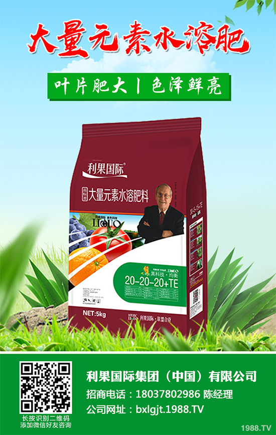     �۲˰߿ݲ�����ЩΣ���Y�����۲˰߿ݲ���Σ��������