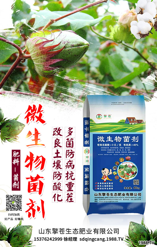     ����(ji��)���R��2020��1�������ܷ�ͦ�r�����������߄��A�y��