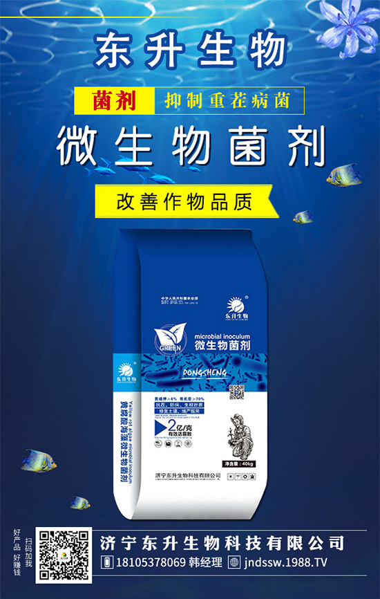 ʯ���(sh��)ʲô�r(sh��)��޽Ӻ���ʯ���(sh��)�޽ӷ�������Щ�أ�