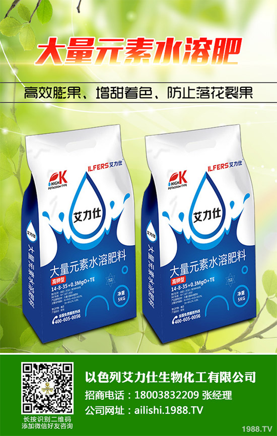 �۲˸���������ΰl(f��)������ԓ���ӷ�������������ɣ�