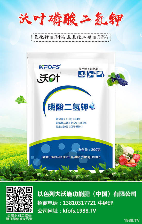 �۲˲���������ЩΣ����ԓ��η������۲˲�������Σ���c����