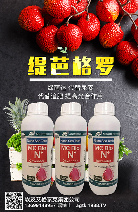 ���A�ĠI�B(y��ng)�rֵ����Щ����Ч�c��������Щ��������Щ��Ⱥʳ����