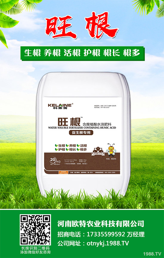 �t������Щ���湦Ч���t�ٵĹ�Ч���ü�������Ⱥ