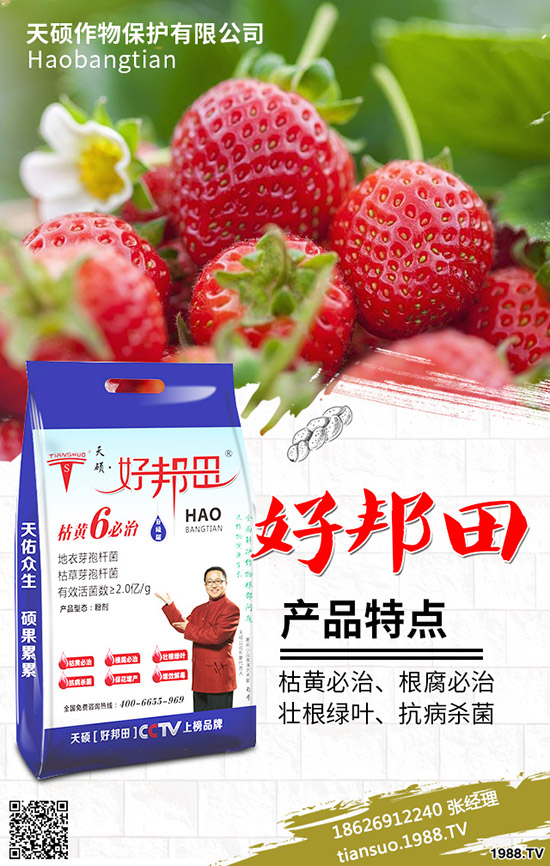 2020���r(n��ng)��Nֲʲôˮ��ٍ�X����Щ�N����Ʒ�N���^����