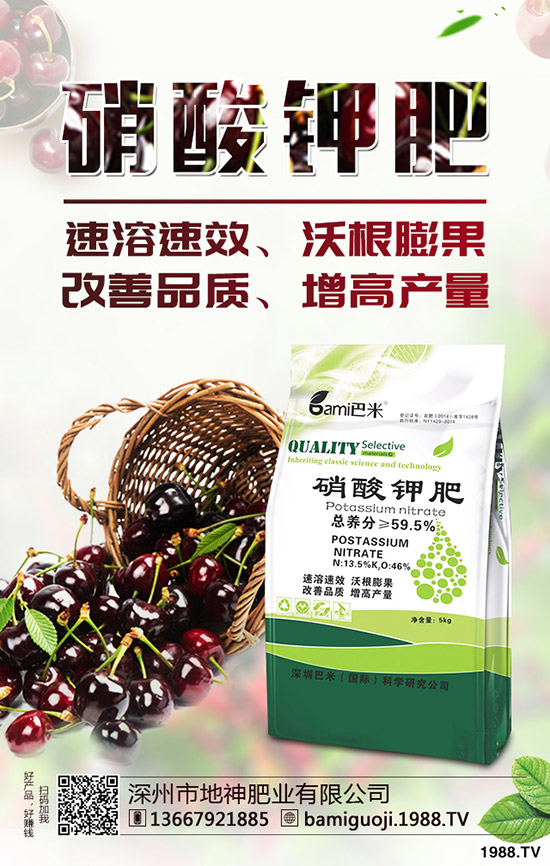 �t������r�g��ʲô�r�����t�����緽������Щ��