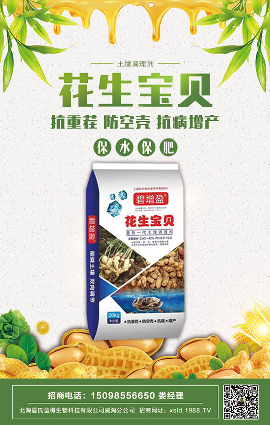     2020���������@�r�����ݱP�������@�r�������