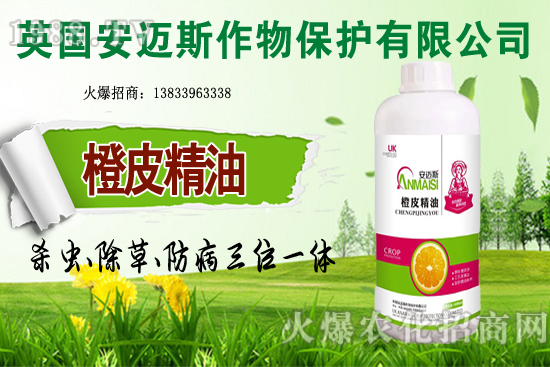 10�·Nֲ��Щ�߲˸����m�����g����Ҫ���c(di��n)ץ���Ď��c(di��n)��