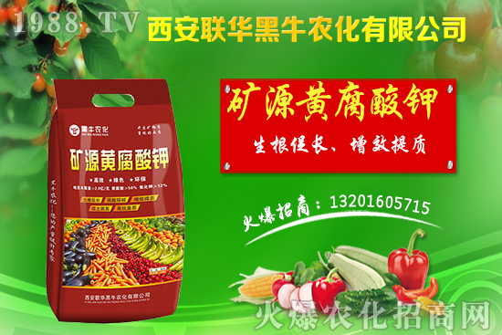 �＾����ԓ��ι������＾������푪(y��ng)������Ĵ��`�^(q��)��