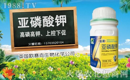 ľ��ʲô�r(sh��)��Nֲ��ľ�ϷNֲ�r(sh��)�g���Nֲ���g(sh��)Ҫ�c(di��n)��