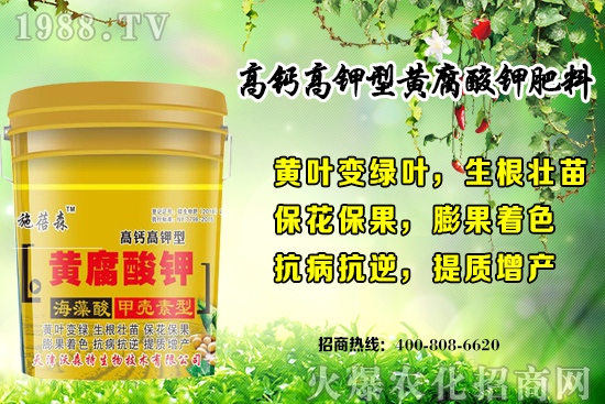 ��ݮ���L(zh��ng)��(du��)�h(hu��n)��Ҫ������Щ���＾��ݮ��ֲע�����(xi��ng)�͹�����ʽ��