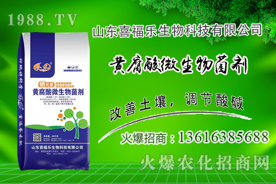 �����r��(w��n)��ƫ����2020��10��14�ջ����r���������