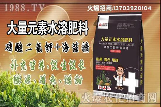 �߲����L����ЩΣ��������߲˿�����Ҫ�c��