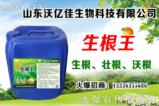 Ӱ푲�ݮ��ѿ�ֻ���������Щ����ݮ��ѿ�ֻ����c��ֲ����Ҫ�c(di��n)��