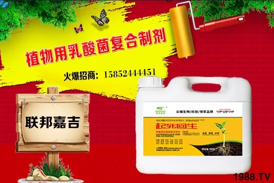 ���[���L�l������Щ�����[������c���＾������