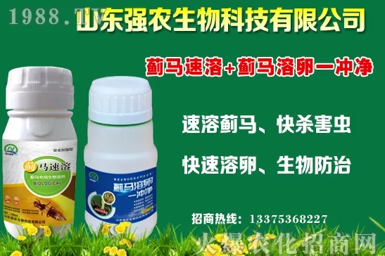 �ﶬ11�·Nֲʲô�߲˱��^���m���߲˷Nֲע�������