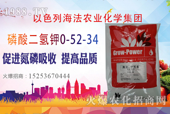 2020��10��28�����؃r��(w��n)�����������؃r�����