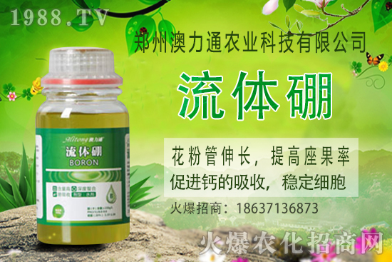 ⛷ʃr(ji��)����m(x��)���q��2020-10-30����(n��i)⛷ʃr(ji��)���(b��o)�r(ji��)һ�[