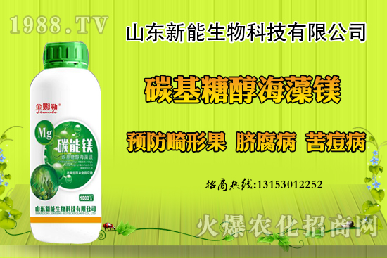 ���������ݮ���ι�ԭ�򣬳��F(xi��n)���ι���ô������