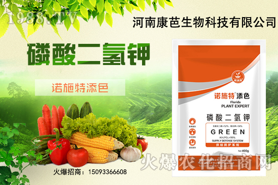 �������￹�����������⛼����������������8����