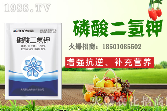 �����Ѿ���+�|̦�أ��������⛣���ʲô������