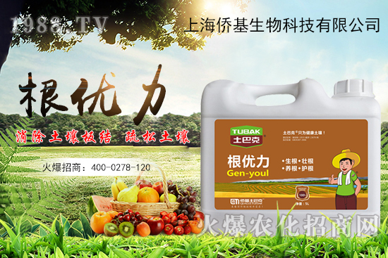 ����������ʲô�ʣ��������x������Щ��