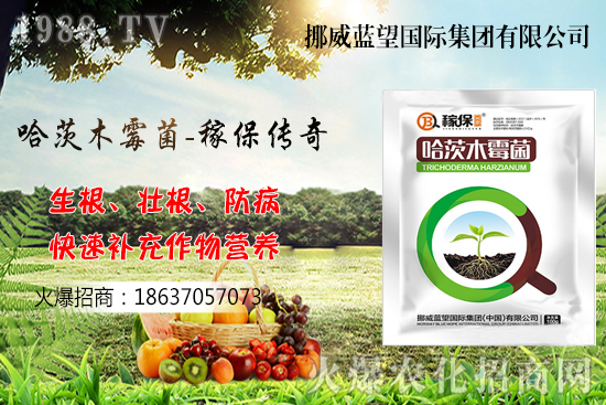 �ի@���С����΃����أ�С�������P�I�c������