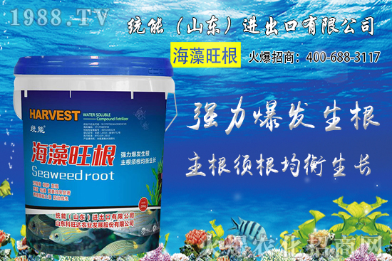 С���Nֲ�r(sh��)�g��δ_����2020��С���Nֲע����Щ���}��