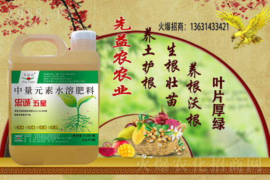 С���r������Xһ��������С���r��������