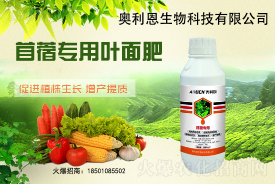 ��ޣԽ������ôʩ����ޣ��ʩ�ʹ���