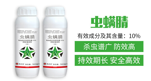 10%�x(ch��ng)����-��֮��_02