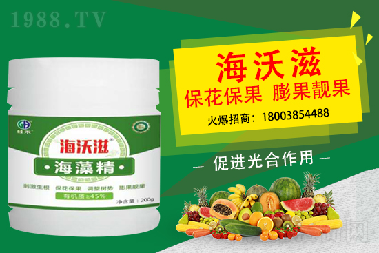 ��ɲ�ݮ��С��ʲô��������ô���M��ݮ�������