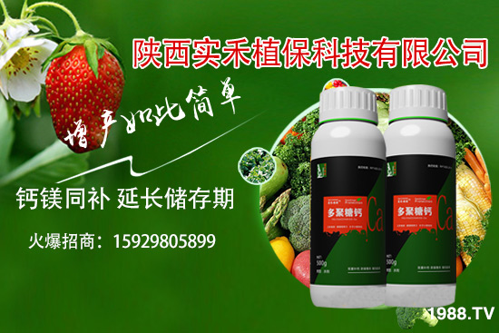 ���t�����~��ʲôԭ�������t�����~���δ�ʩ����Щ��